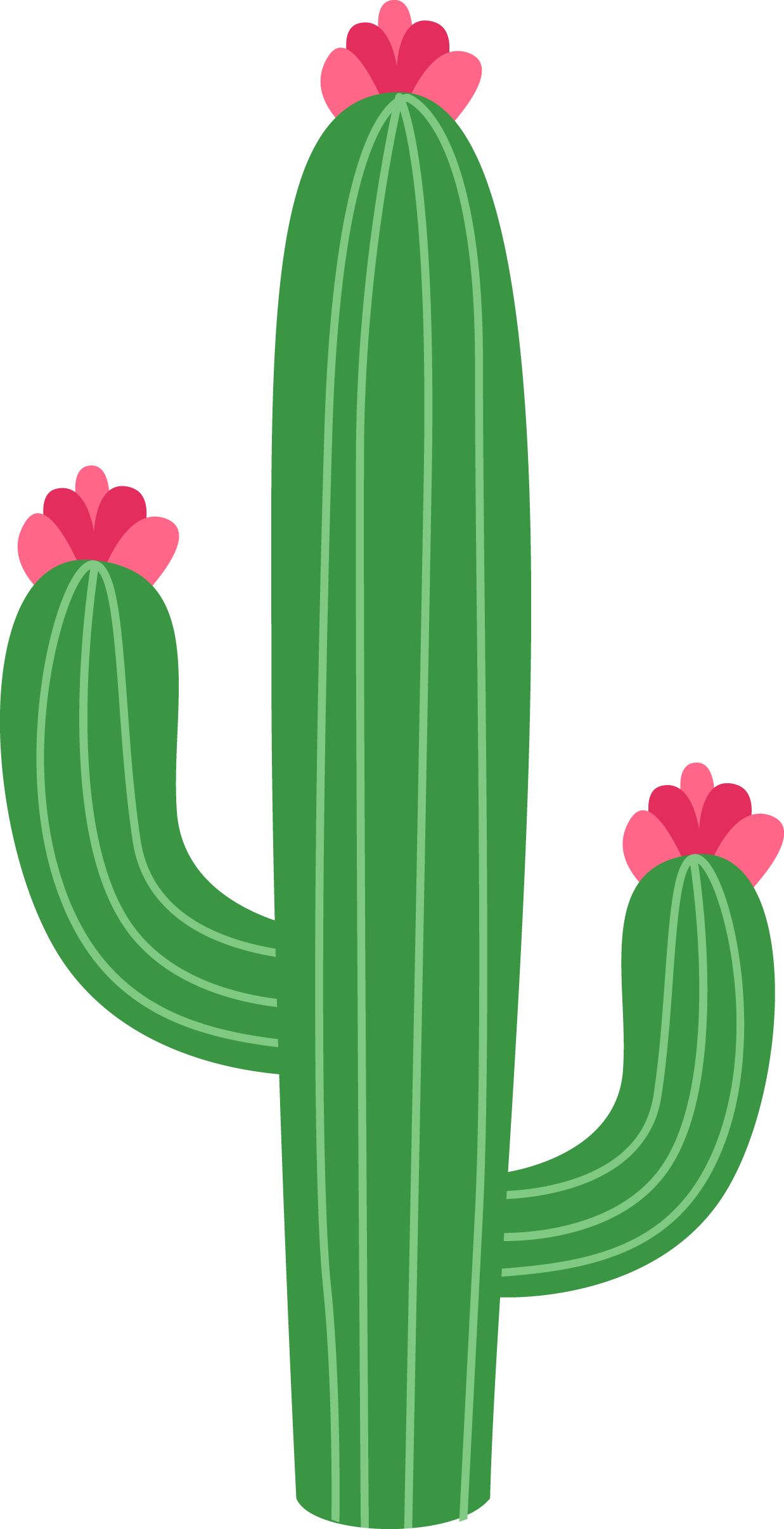 Cactus Izquierda