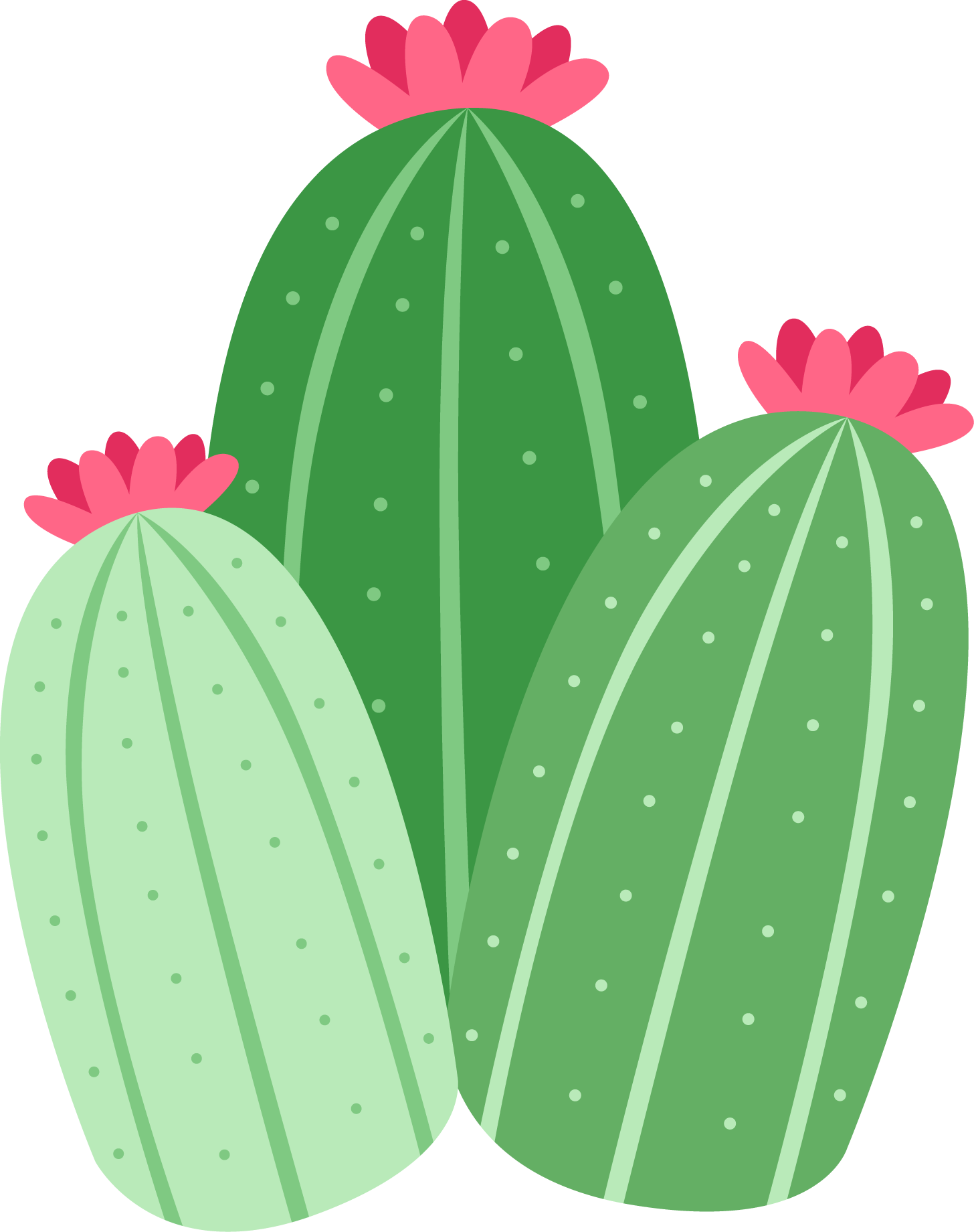 Cactus Derecha